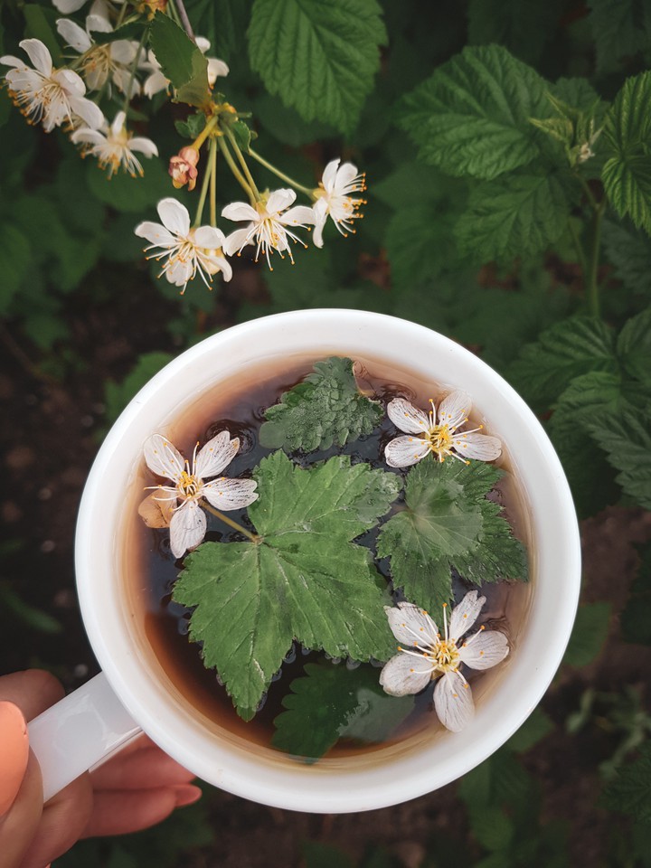 Drinking beauty