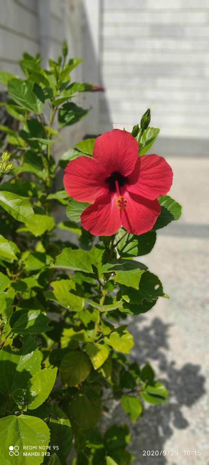 Iran