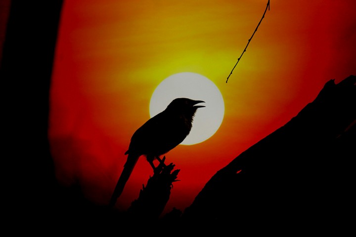 Beautiful Sunset with a lovely Prize