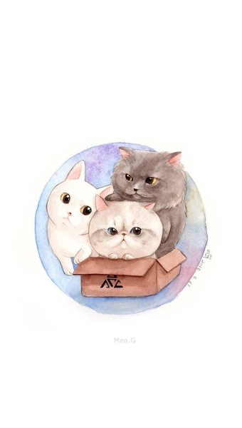 고양이