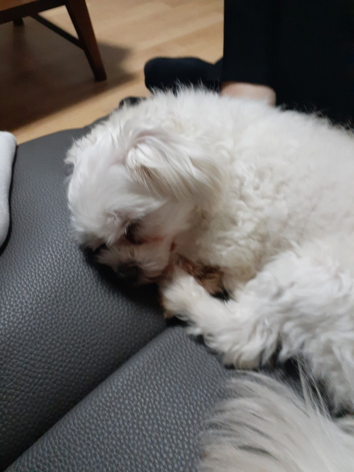 하니 잔다..쉿! Hani is sleeping...Shh!