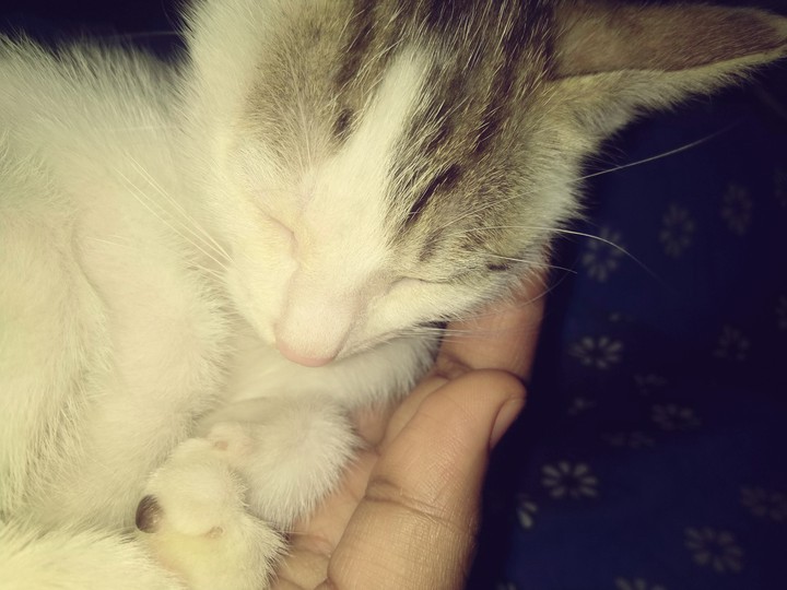 ❤️