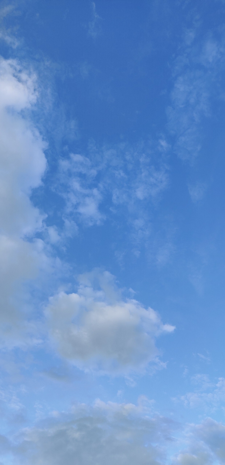 Let the Sky Fall