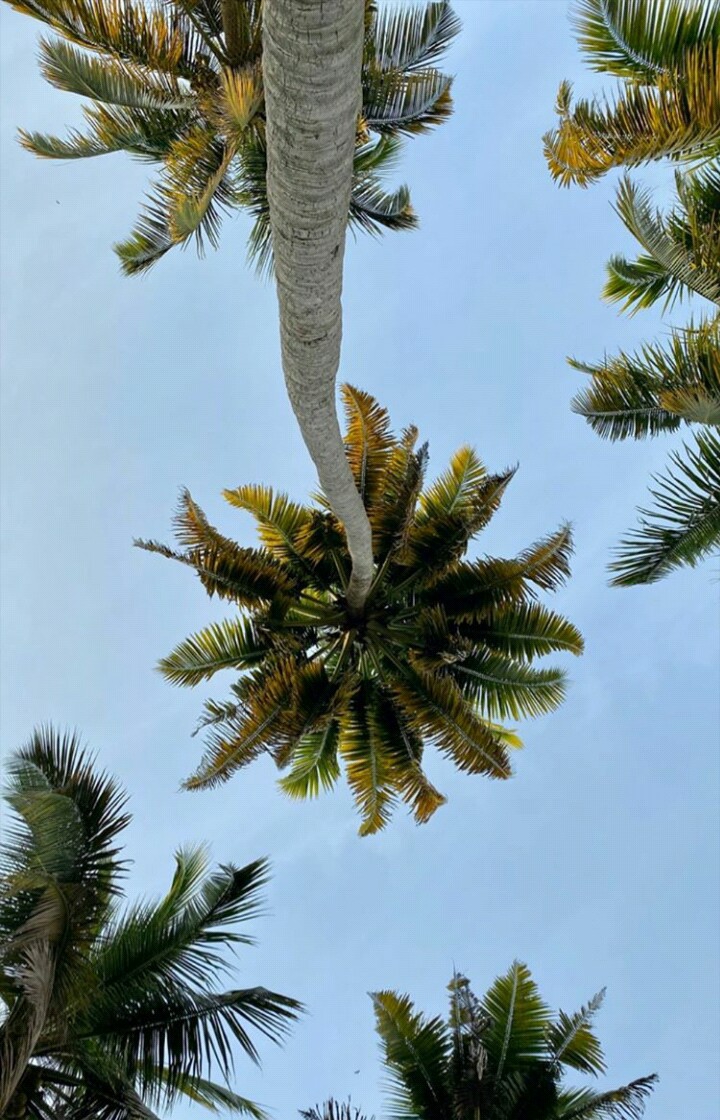 kerala