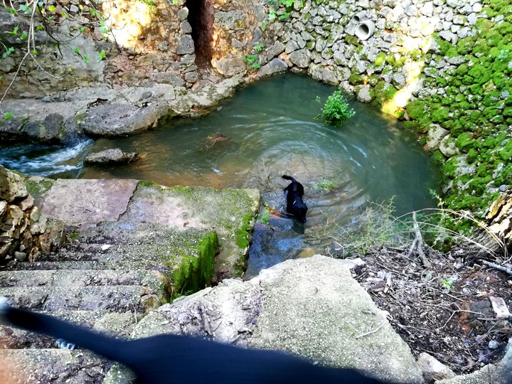 Basin with water