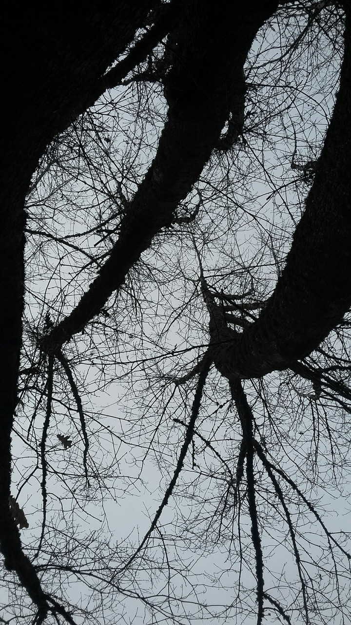 Looking Above