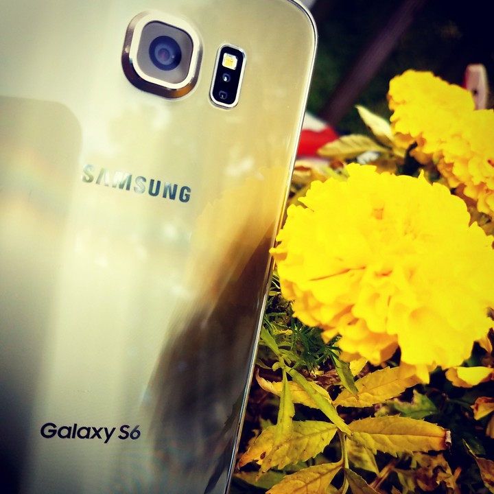 Samsung S6