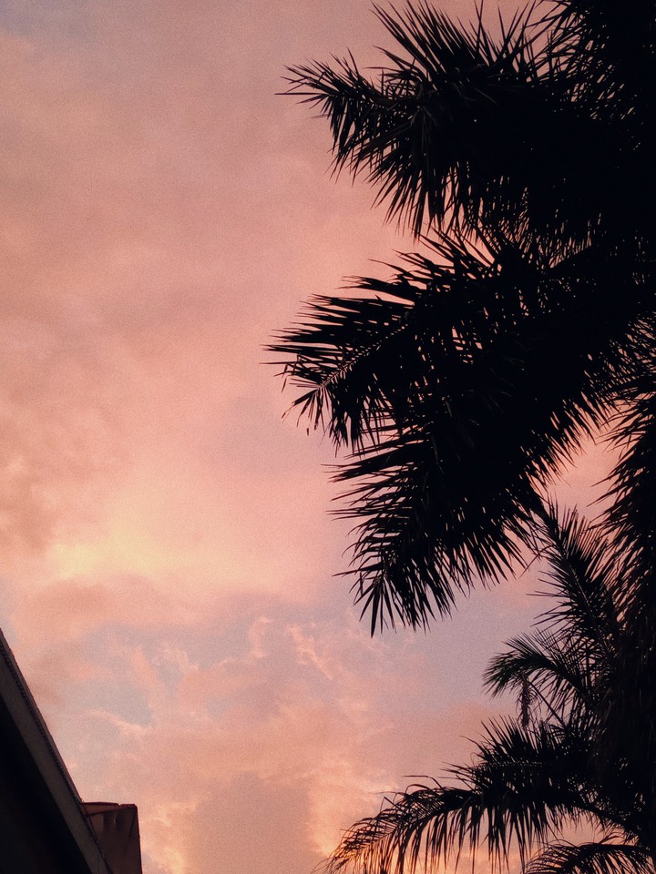 sunlight serenade