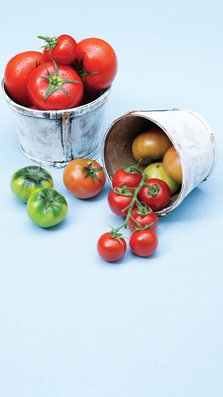 Fresh Tomatos