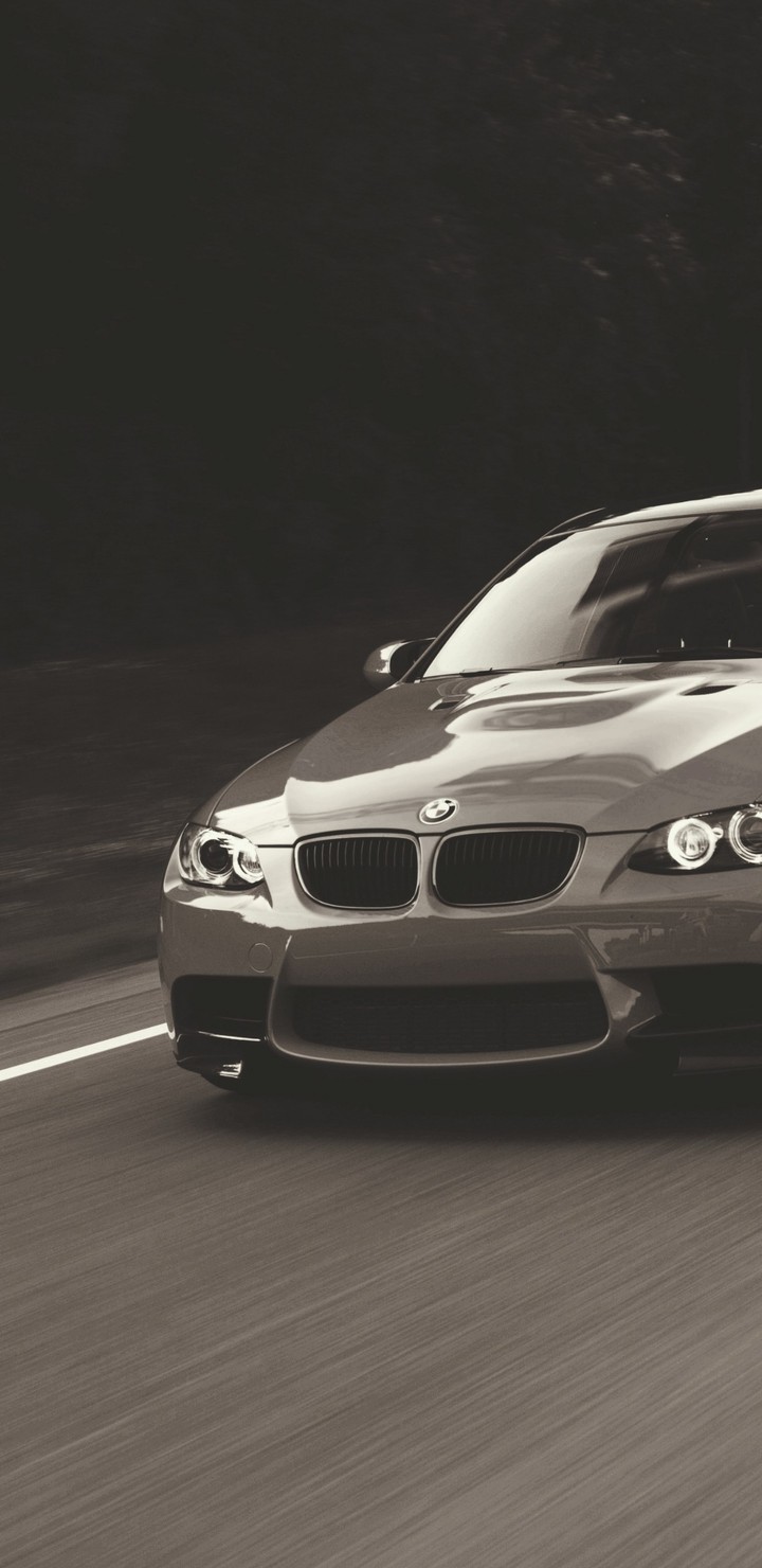 The Beast