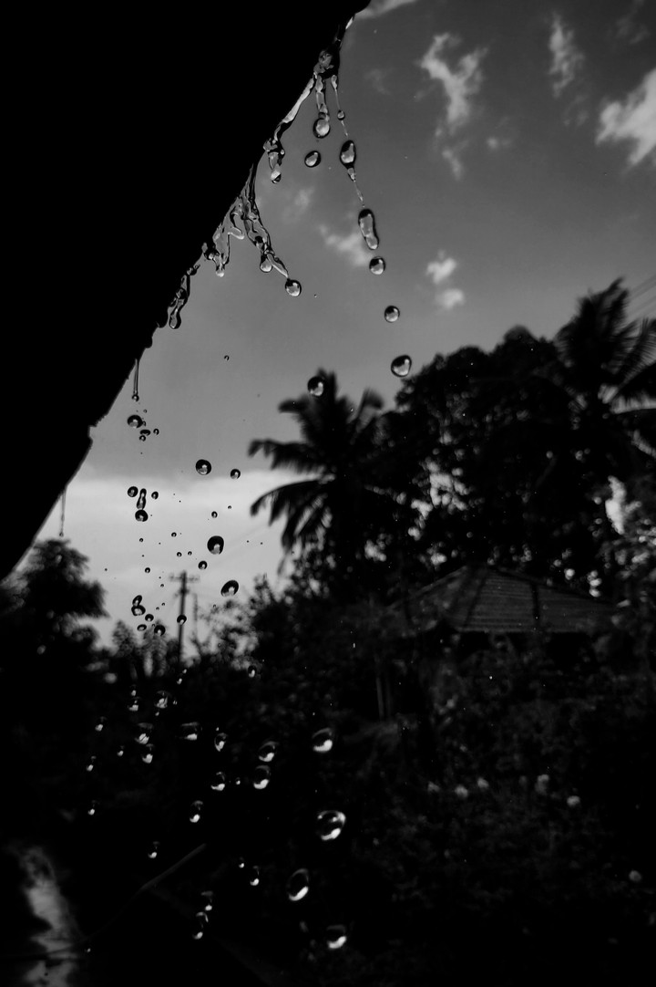 Rain drops