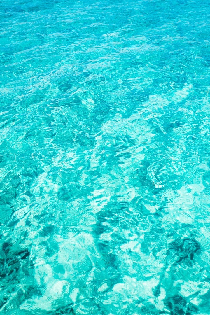 sea