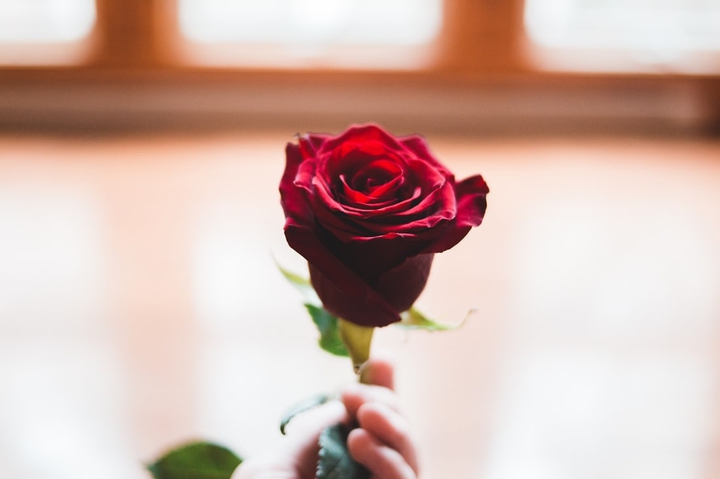 rose