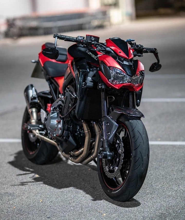 THE ANGRY BEAST