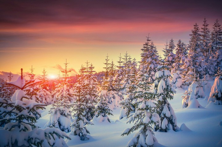 Winter nature