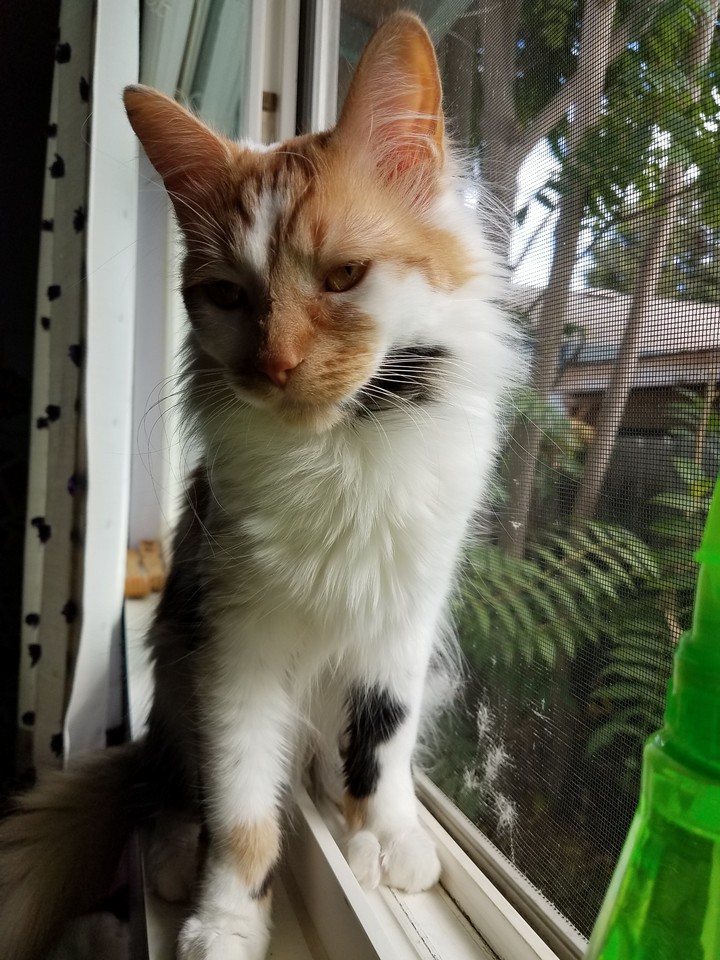 my baby