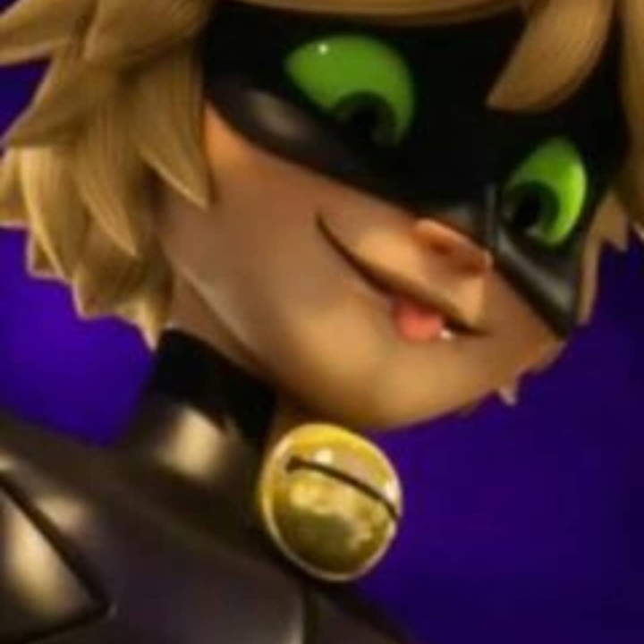 Cat noir