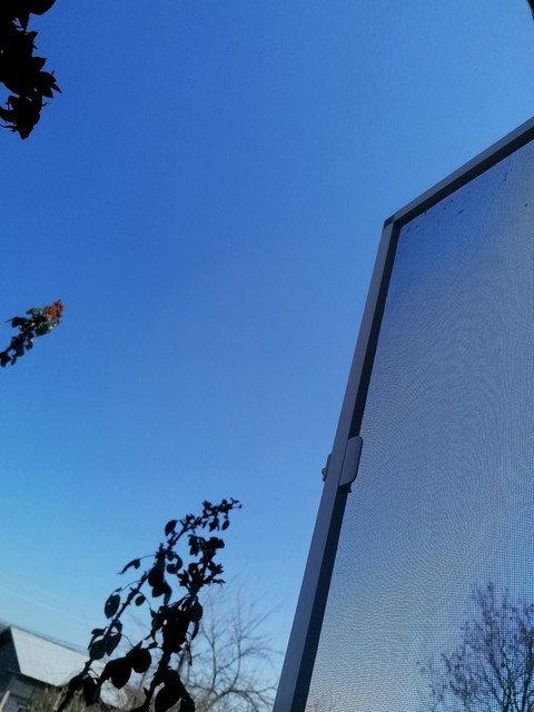 blue sky