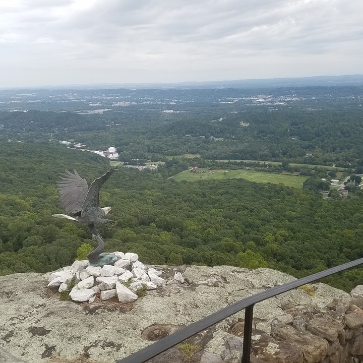 Birds Eye View