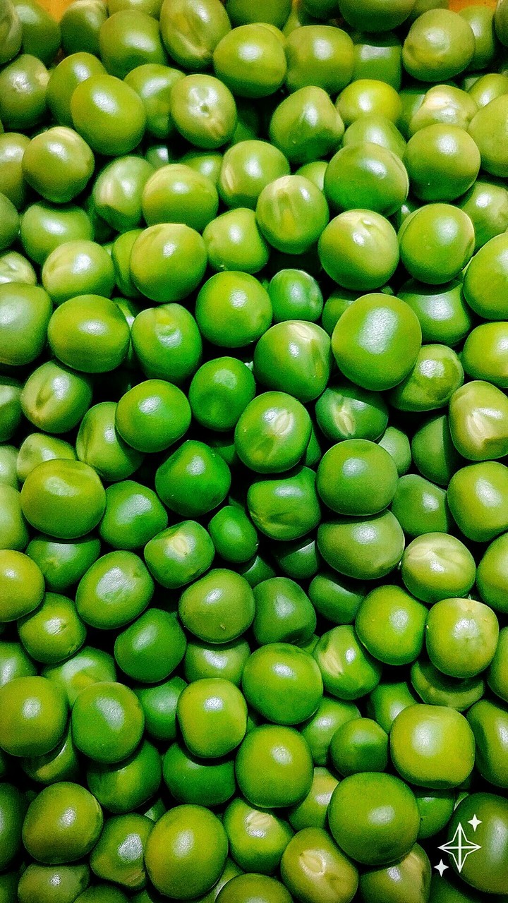 Beans