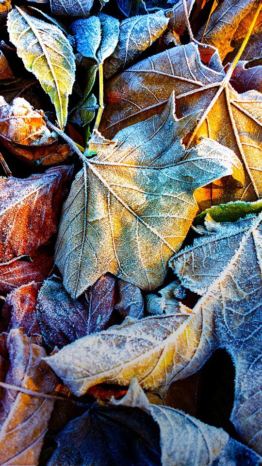 automne