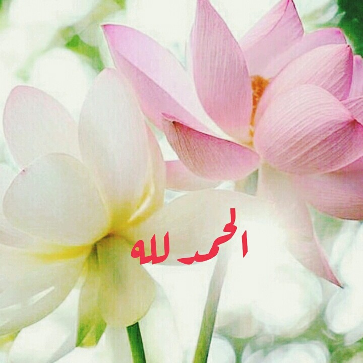 الحمدلله