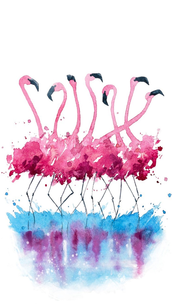 Flamencos