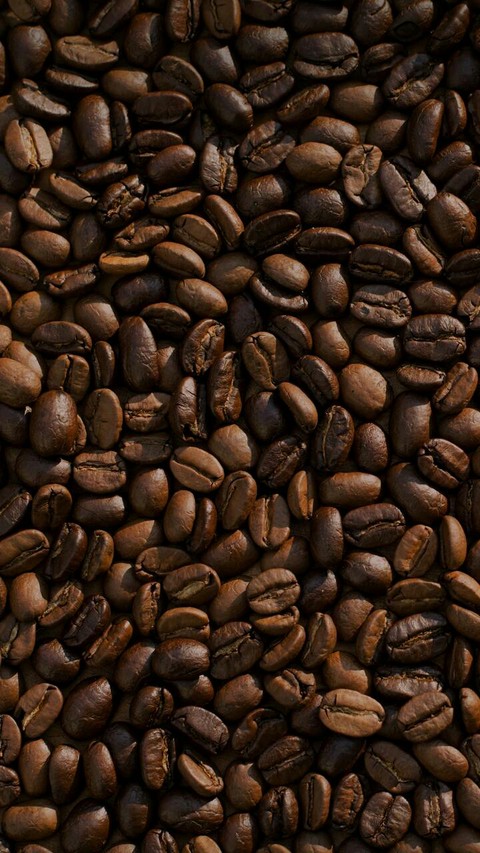 coffee beans
