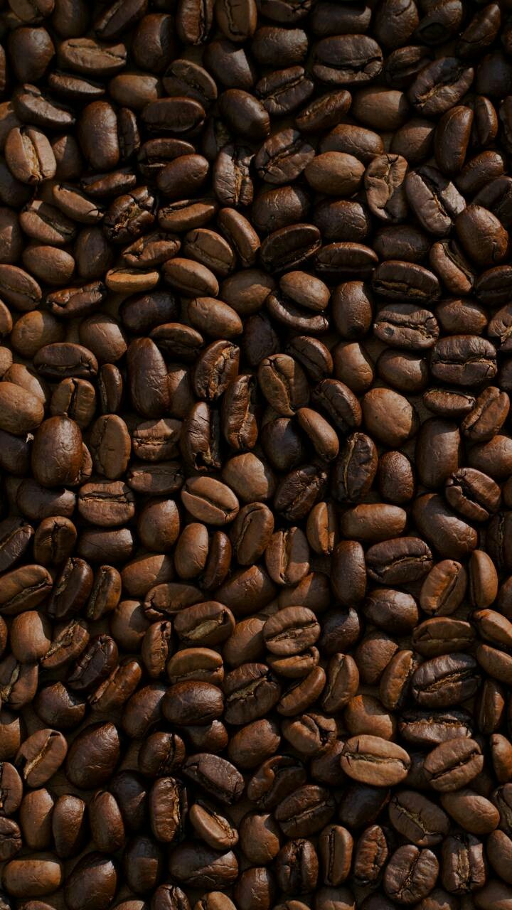 coffee beans