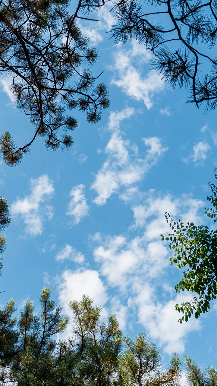 beautiful sky
