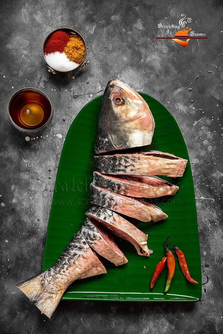 Fish