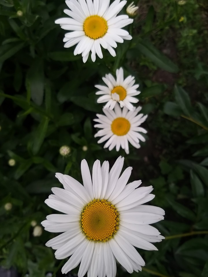 ?