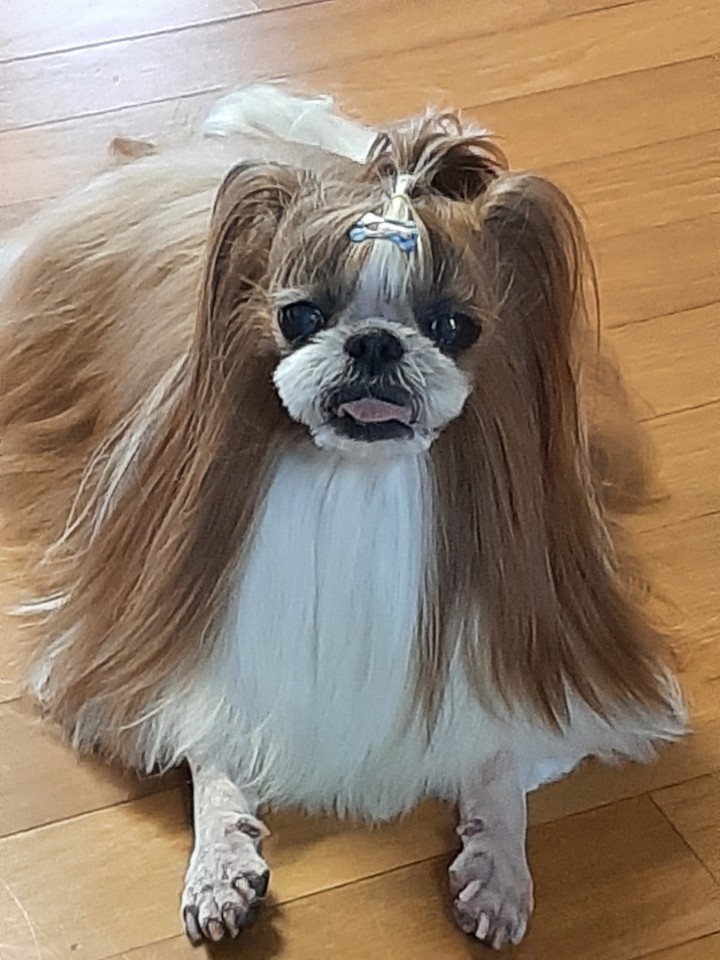 SOONDOL 2021