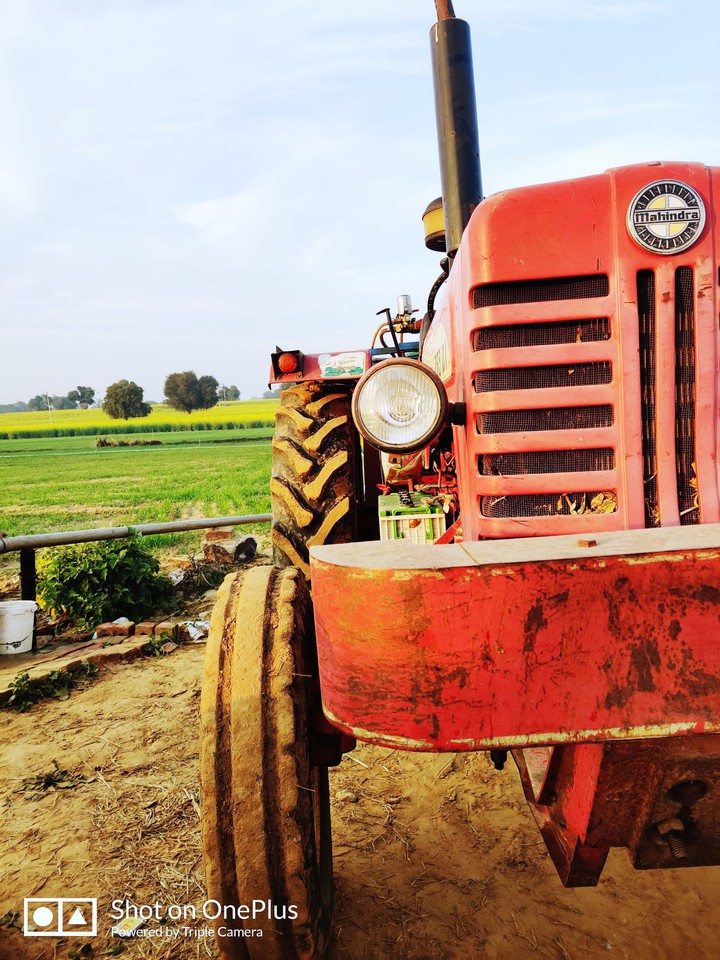 Farmer life