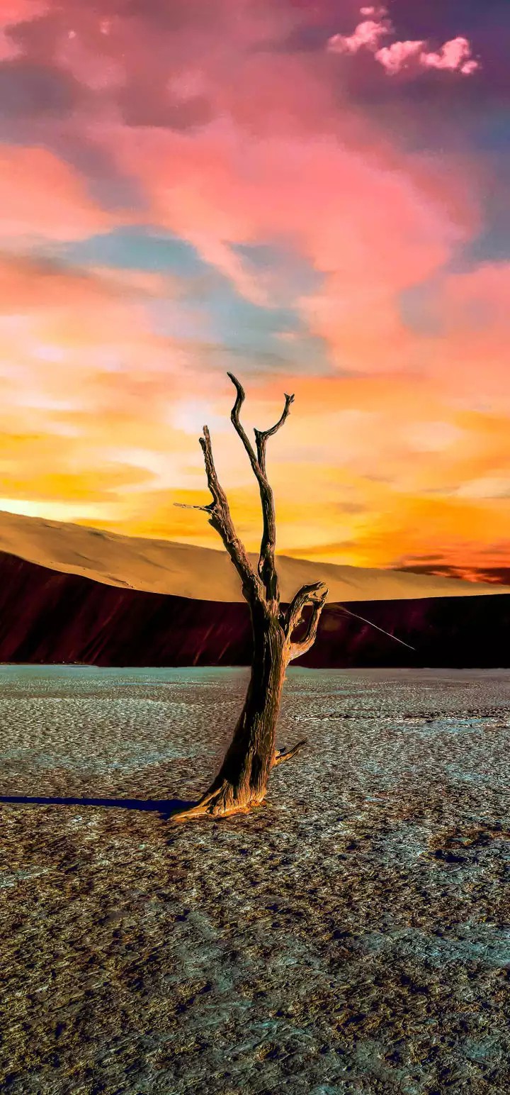 landscapes