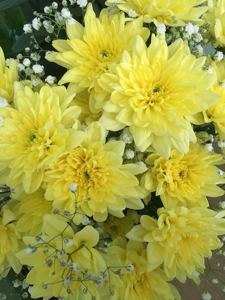 Employee's Birthday