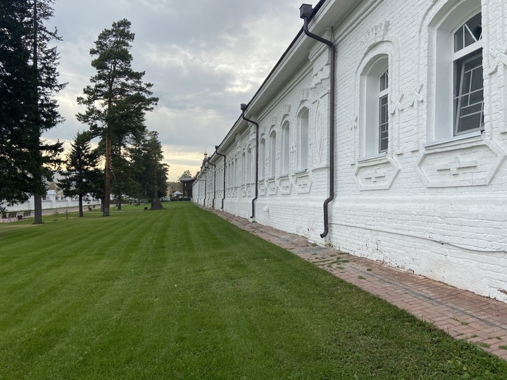grass 2