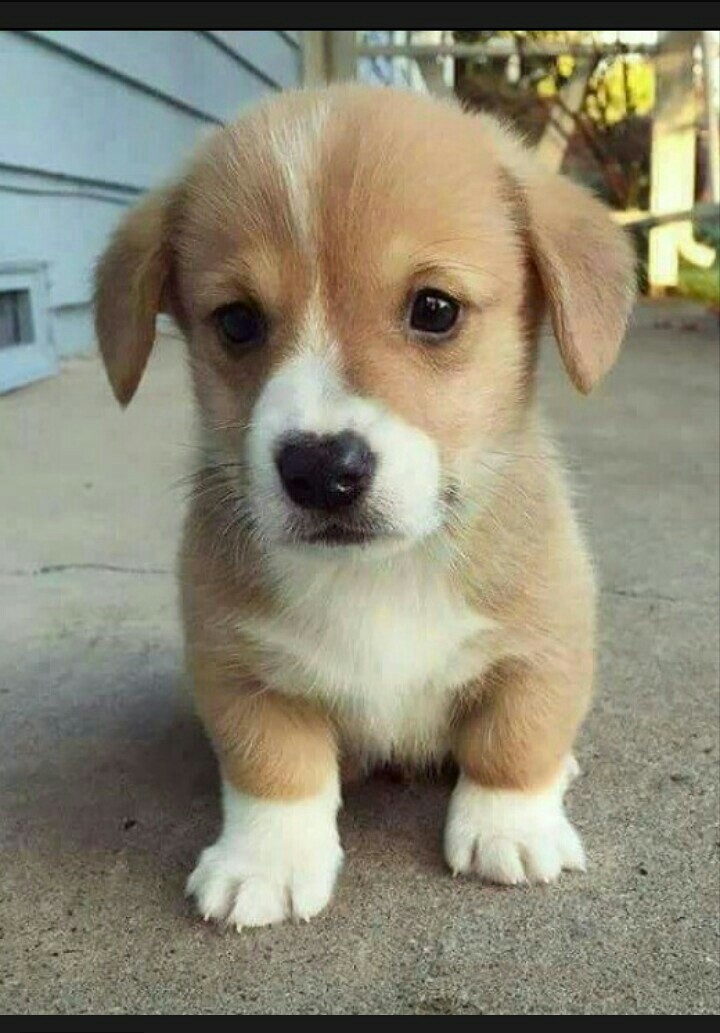 ##