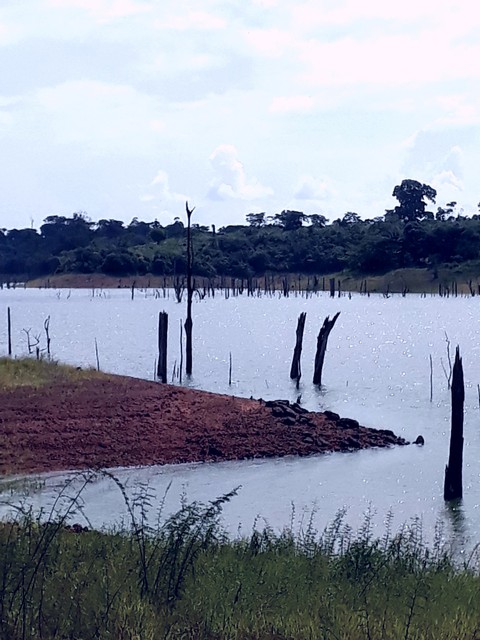 Lago