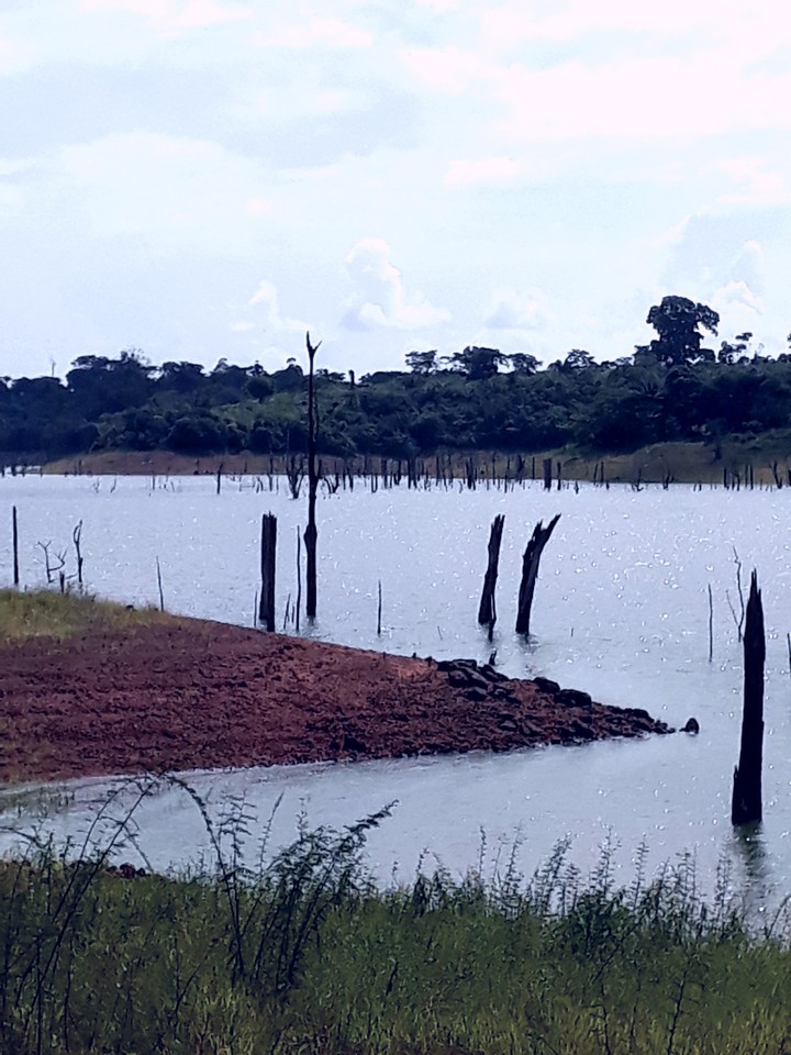 Lago