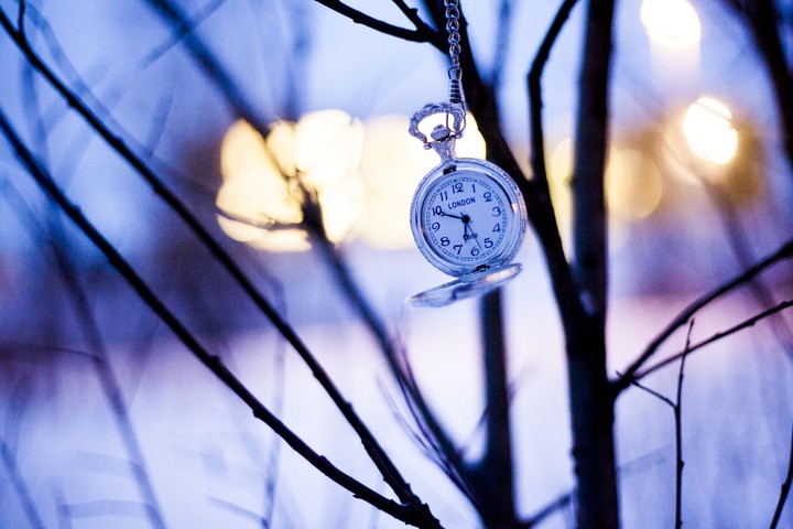 Watches Branches Winter Pocket Watch