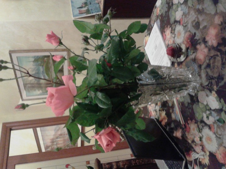 compleanno