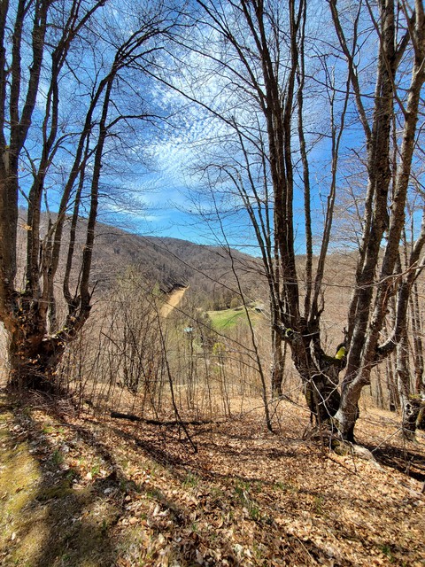 Mountains in spring