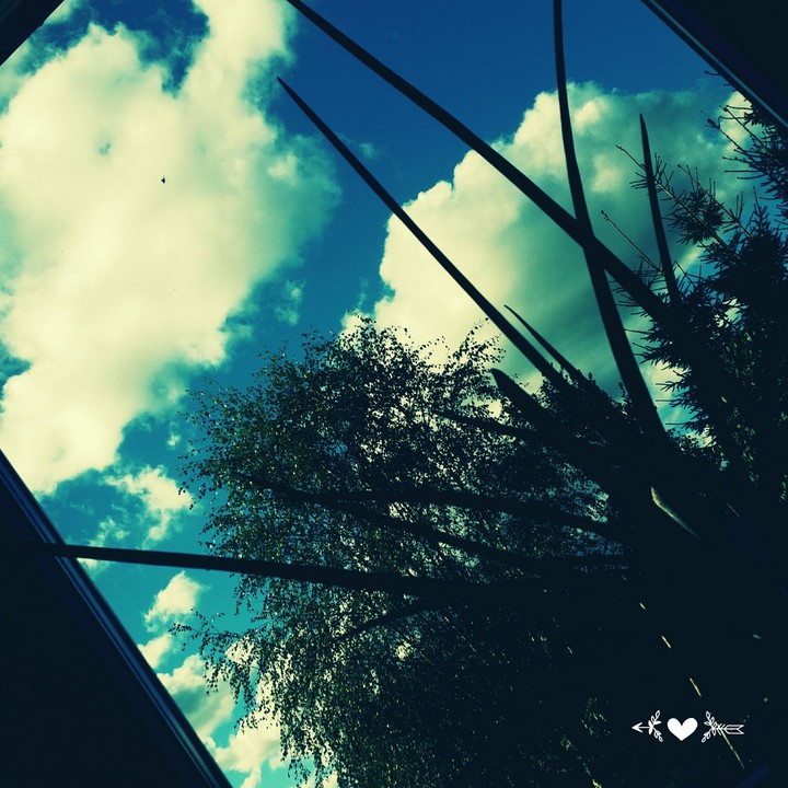 sky