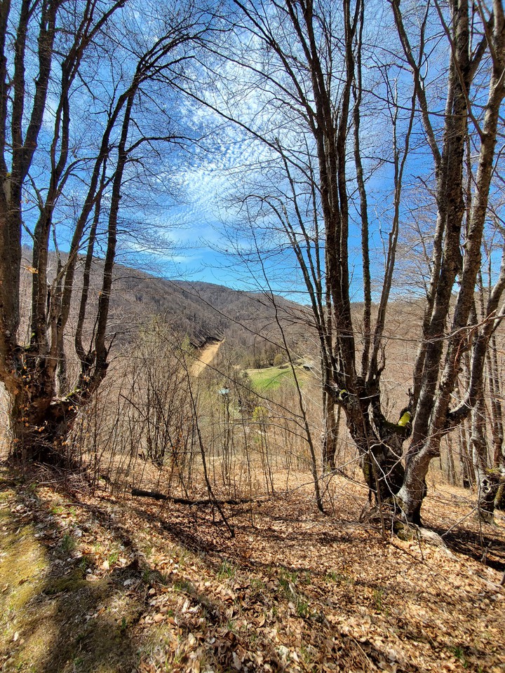 Mountains in spring
