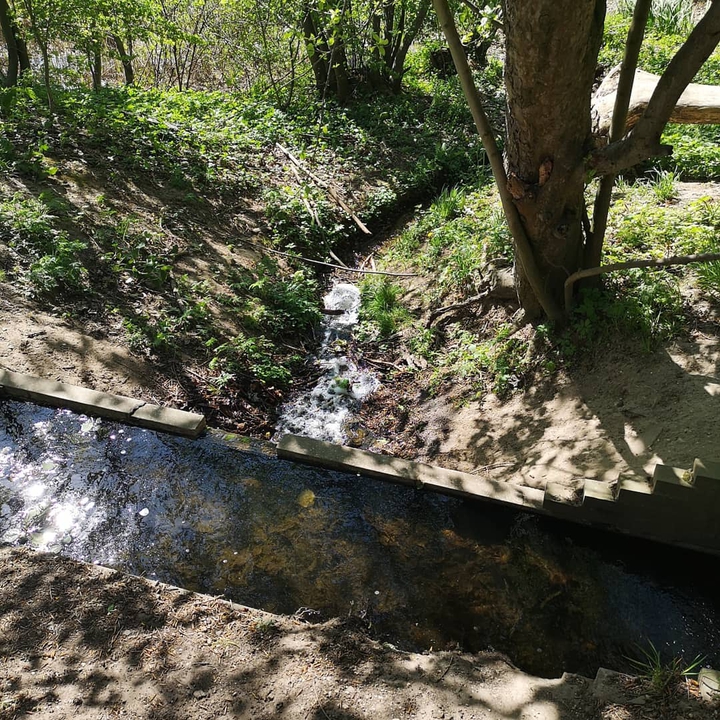 little creek stream