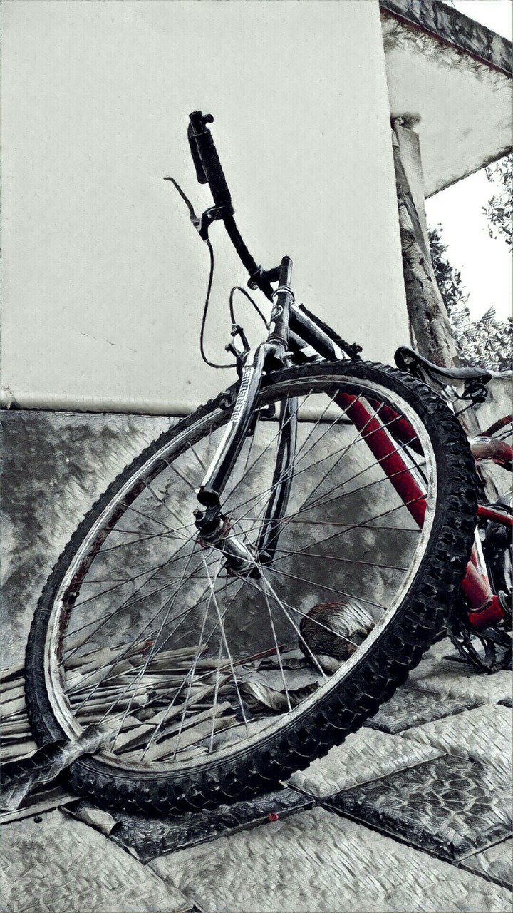 on wheels
