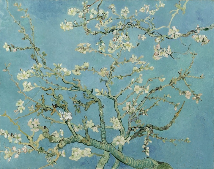 Flowering branches of the mendal ?