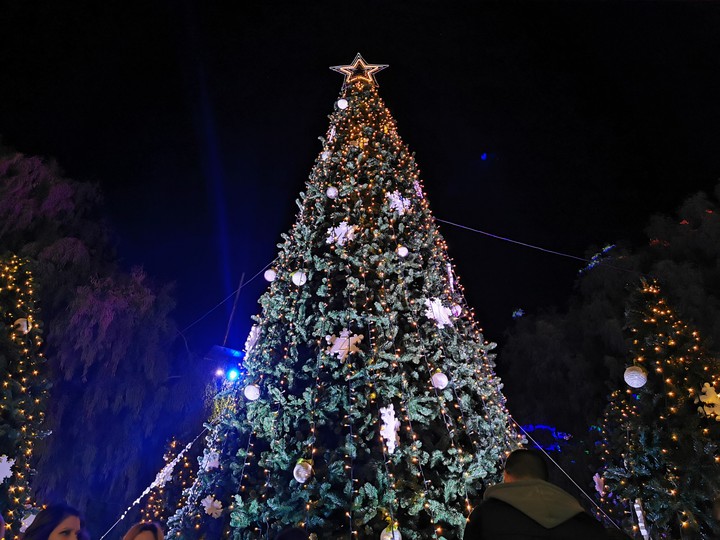 Christmas Tree
