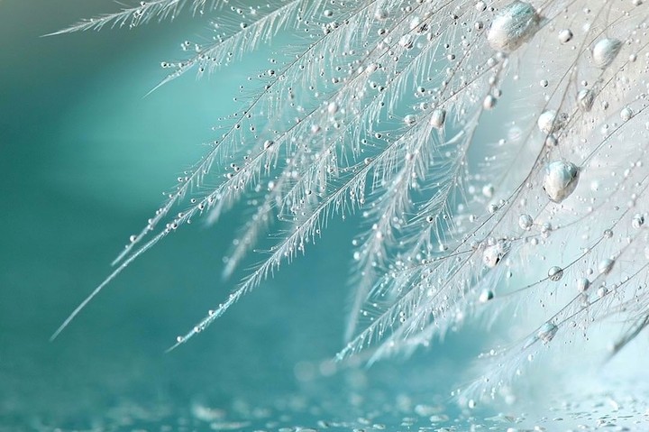 drop